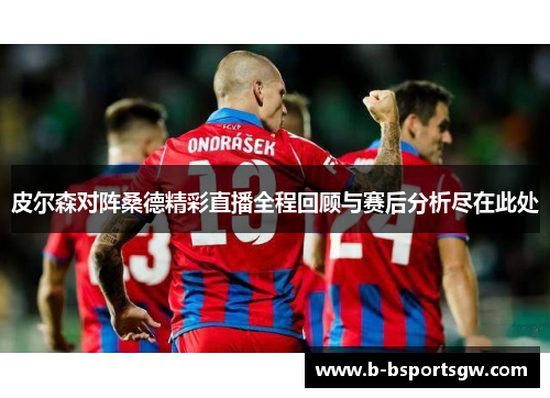 皮尔森对阵桑德精彩直播全程回顾与赛后分析尽在此处